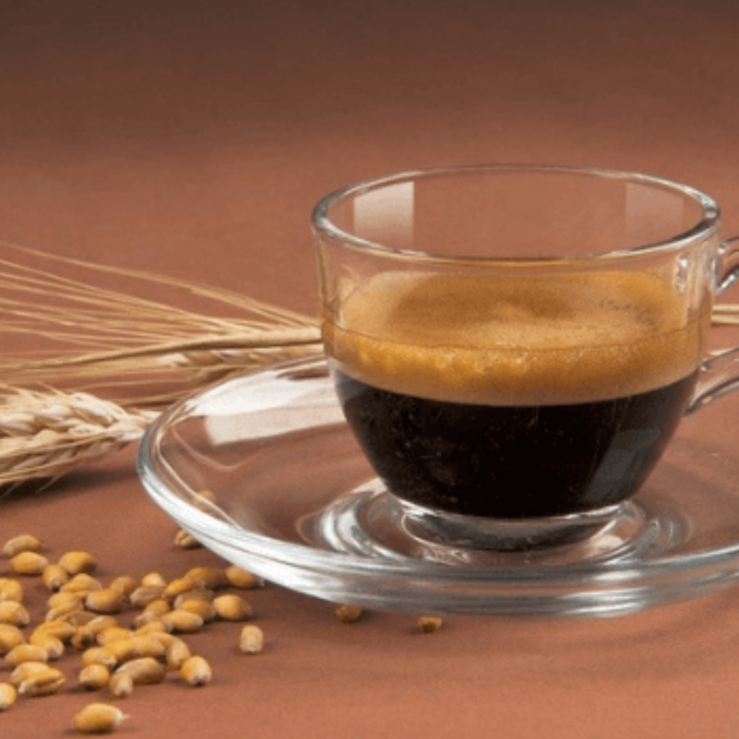 Cápsulas Karoma SABOR CEBADA (compatibles Dolce Gusto) Caja con 16 unidades